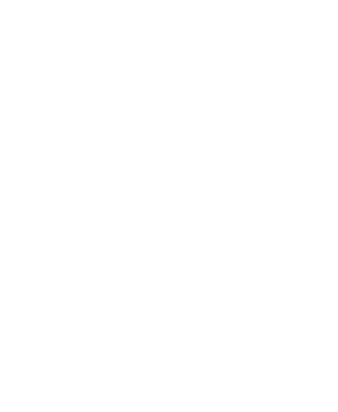 Dr. Richard Maier – Logo